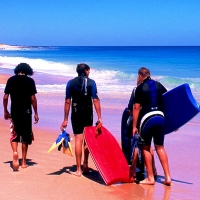 Beach Surfers